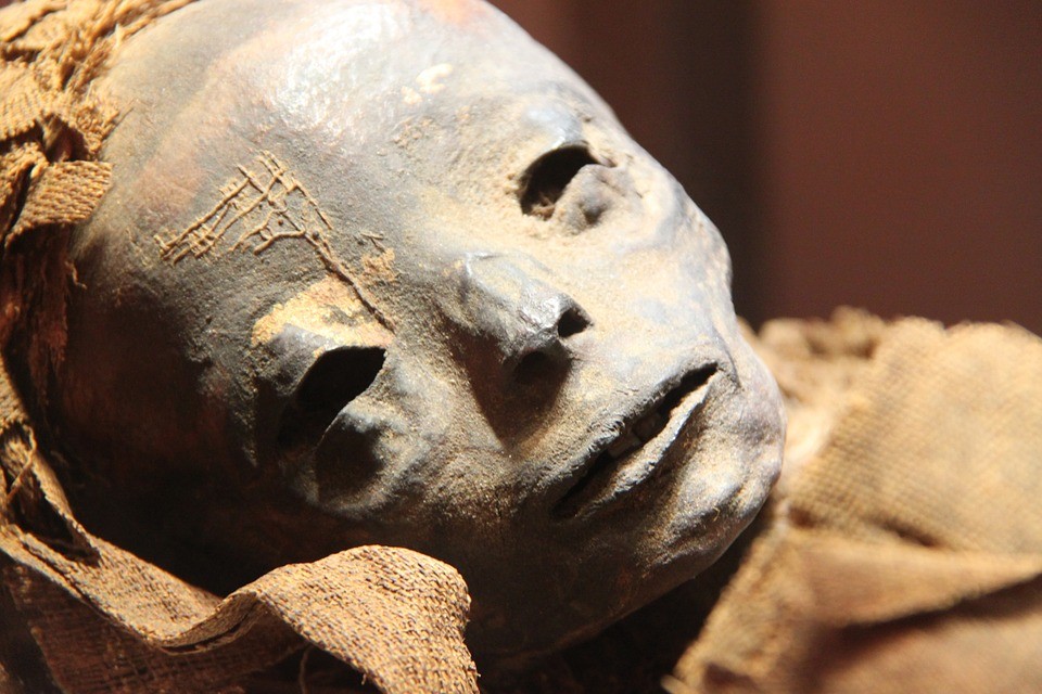 przebadali mumię