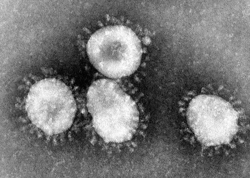 koranowirus, wirus, chiński wirus