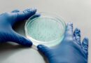 Legionella: Ukryte zagrożenie w systemach wodnych
