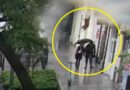 Pies znokautował kobietę! Dlaczego wyskoczył przez okno?! [VIDEO]