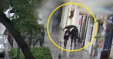 Pies znokautował kobietę! Dlaczego wyskoczył przez okno?! [VIDEO]
