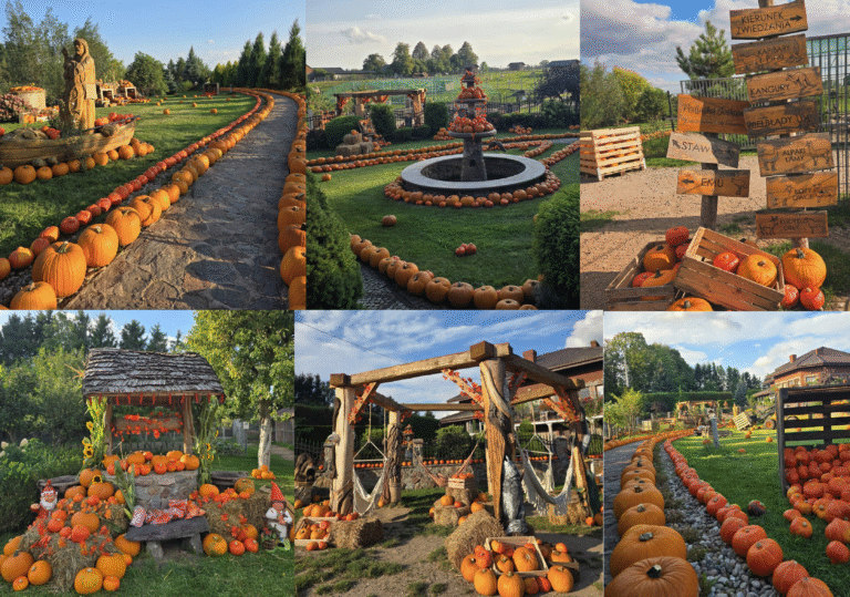 Podlaska Toskania -To najpiękniejsza Farma Dyniowa w Polsce. Wyróżniają ją wyjątkowe krajobrazy, ale również obecność egzotycznych zwierząt. Wymarzone miejsce na zdjęcia na Instagram